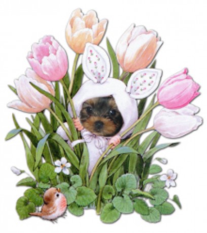 yorkieeaster.jpg