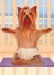 Yoga-Yorkie-Note-Card-C11759591.jpeg